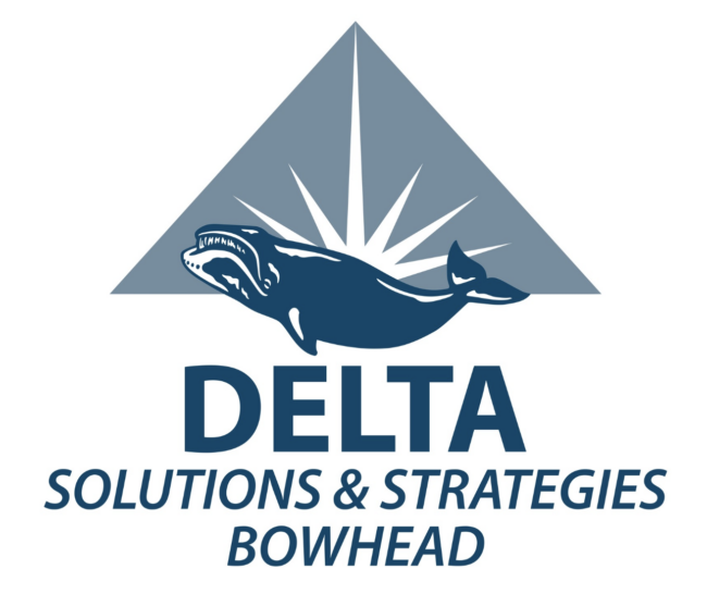 Delta Solutions
