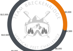 Vertical Feet Challenge